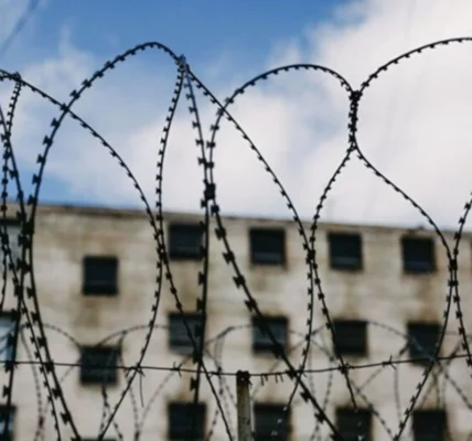 Українські Національні Новини (УНН)