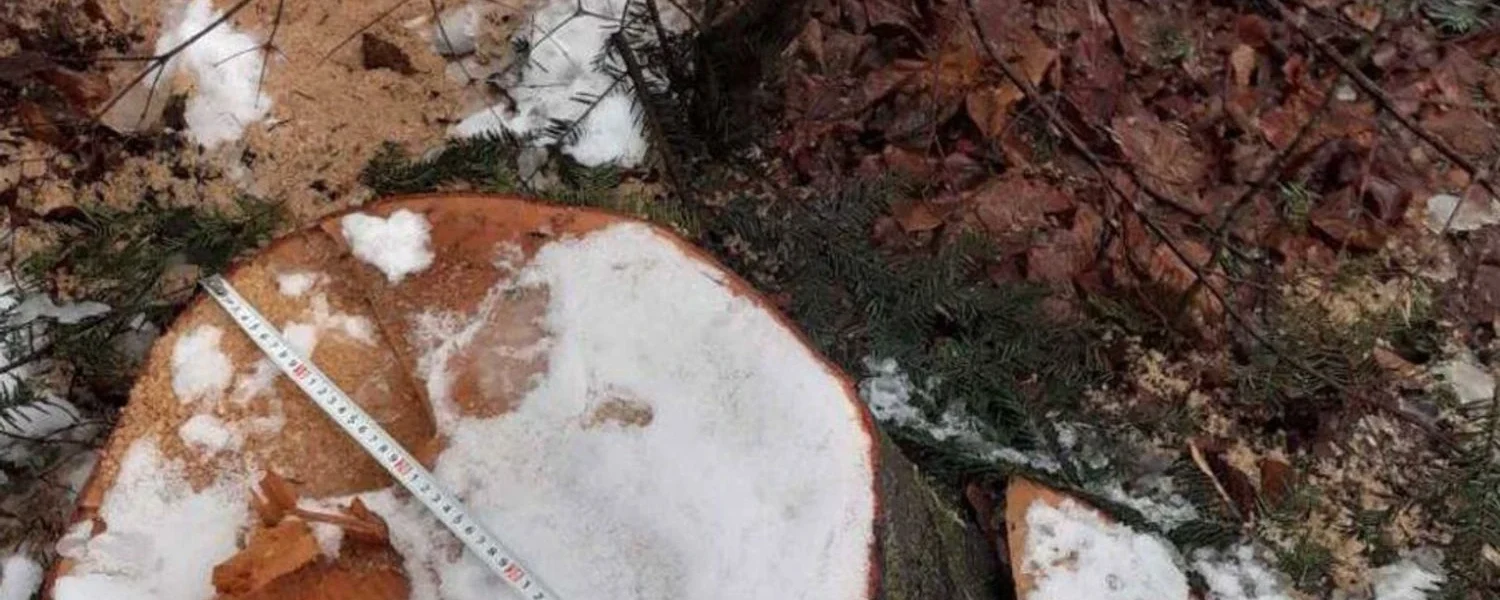 Українські Національні Новини (УНН)