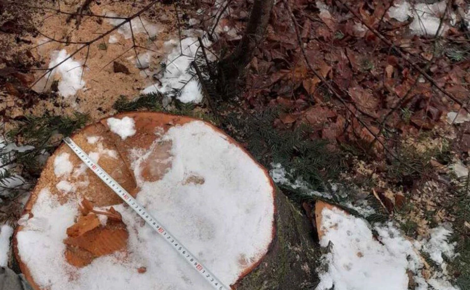 Українські Національні Новини (УНН)