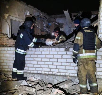 Українські Національні Новини (УНН)