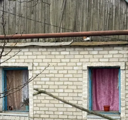 Українські Національні Новини (УНН)