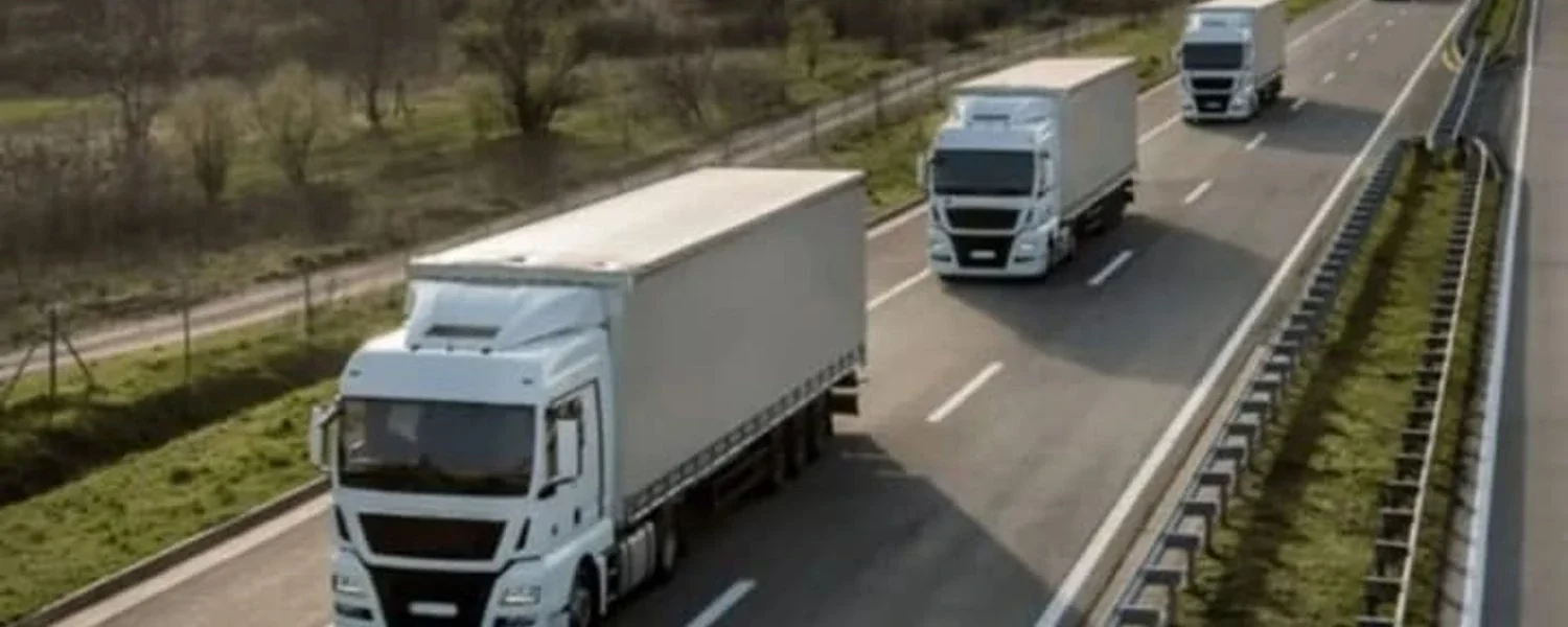 Експерт розкриває неочевидну роль водіїв та логістів у підтримці економіки країни