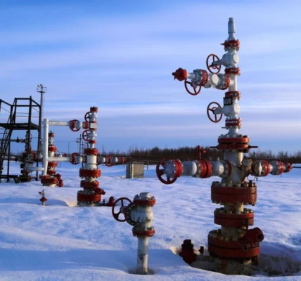 Українські Національні Новини (УНН)