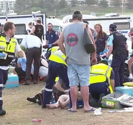 Українські Національні Новини (УНН)