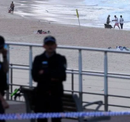 Українські Національні Новини (УНН)