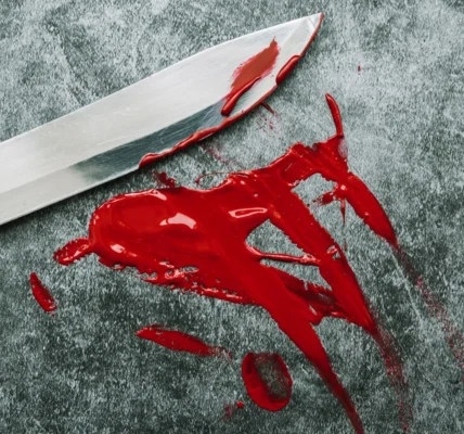 Українські Національні Новини (УНН)