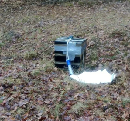 На Волині виявили повітряну кулю з білоруською контрабандою на шляху до ЄС