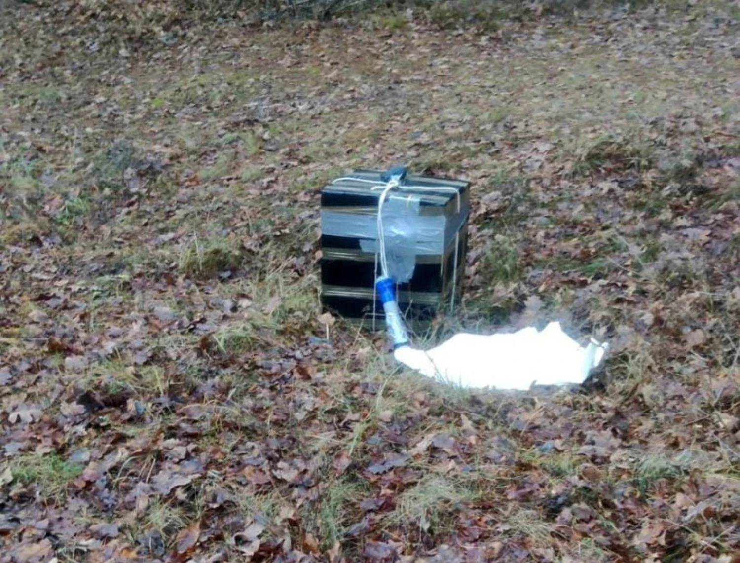 На Волині виявили повітряну кулю з білоруською контрабандою на шляху до ЄС