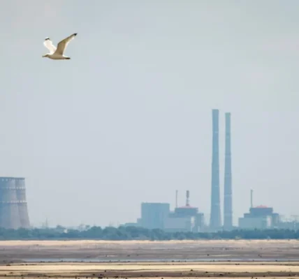 Українські Національні Новини (УНН)