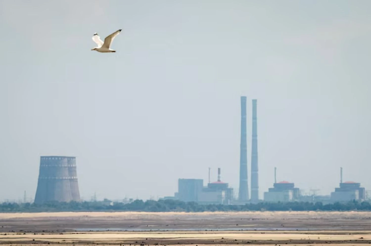 Українські Національні Новини (УНН)