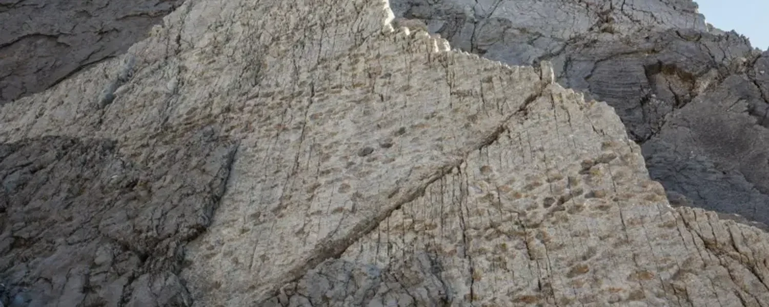 Українські Національні Новини (УНН)