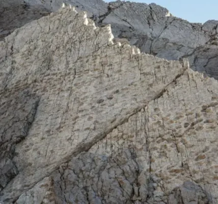 Українські Національні Новини (УНН)