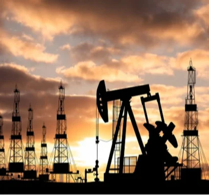 Українські Національні Новини (УНН)