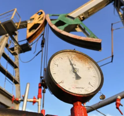 Українські Національні Новини (УНН)