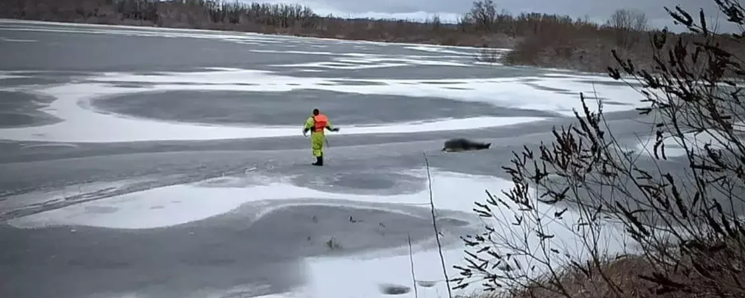 Чоловік загинув, провалившись під лід на Чернігівщині