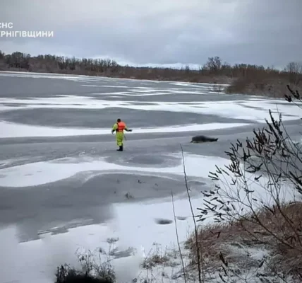 Чоловік загинув, провалившись під лід на Чернігівщині