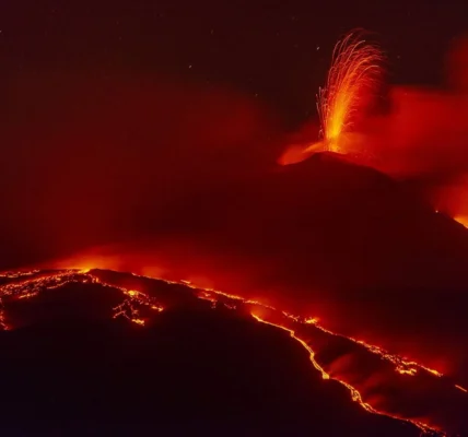 Українські Національні Новини (УНН)