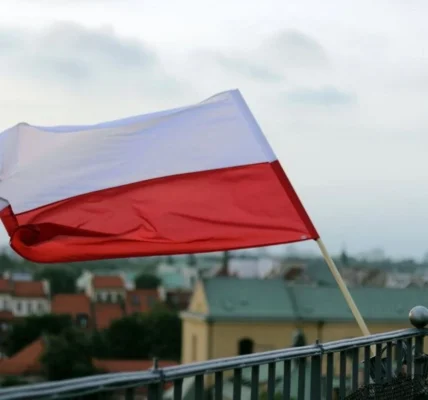 Польща планує завершити створення системи захисту безпілотників за два роки