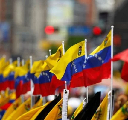 Українські Національні Новини (УНН)