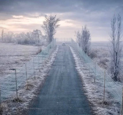 140 бойових зіткнень на фронті: ворог активно діє на Покровському та Гуляйпільському напрямках