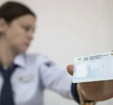 У кібеполіції попередили про шахрайство з посвідченнями водія, виданими вперше