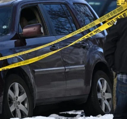 Українські Національні Новини (УНН)