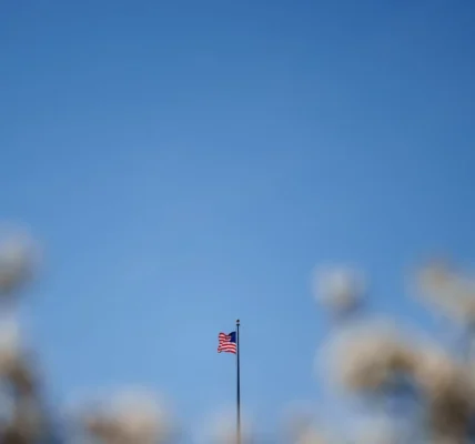 Українські Національні Новини (УНН)