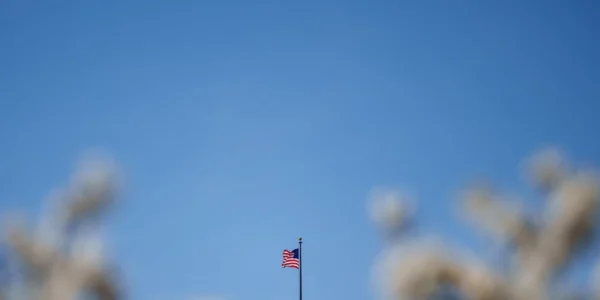 Українські Національні Новини (УНН)