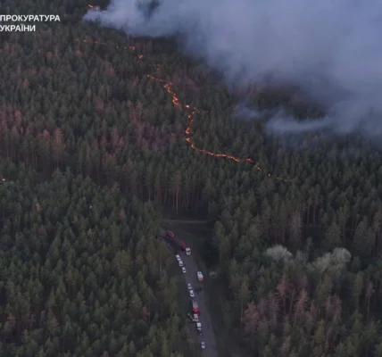 Чоловік отримав підозру за масштабну природну пожежу на сотнях гектарів на Харківщині через недопалок