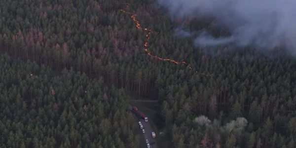 Чоловік отримав підозру за масштабну природну пожежу на сотнях гектарів на Харківщині через недопалок