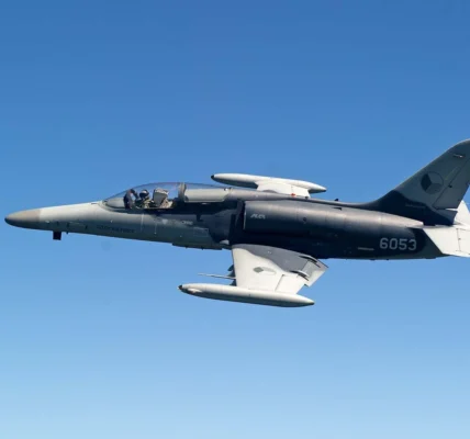 "Пообіцявши Україні літаки, президент повівся як слон у крамниці посуду": чому глава МЗС Чехії розкритикував Павла