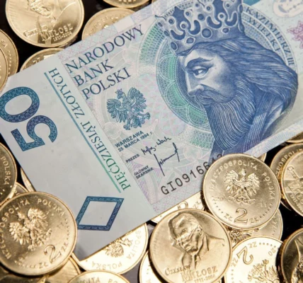 У Польщі менш ніж за три дні зібрали понад 1 млн злотих на генератори для Києва