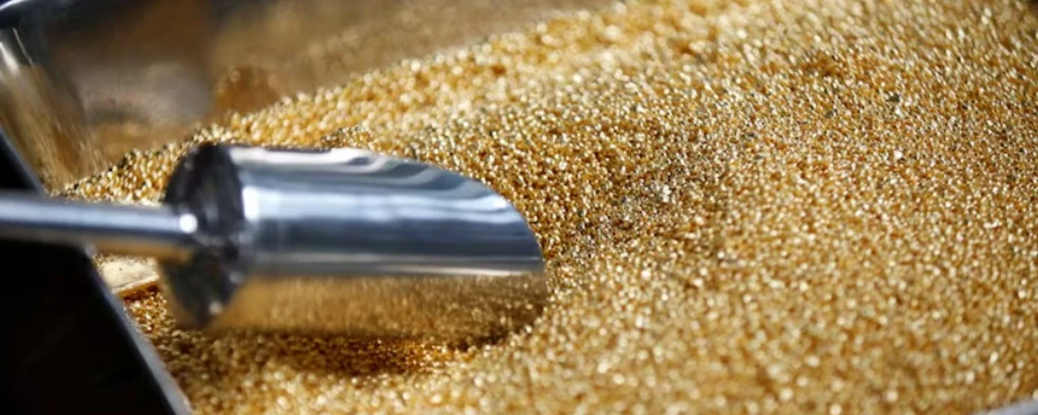 Українські Національні Новини (УНН)