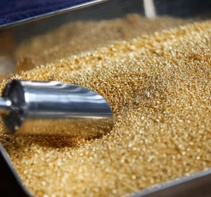 Українські Національні Новини (УНН)