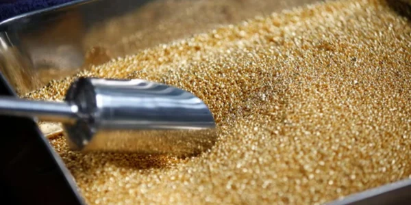 Українські Національні Новини (УНН)