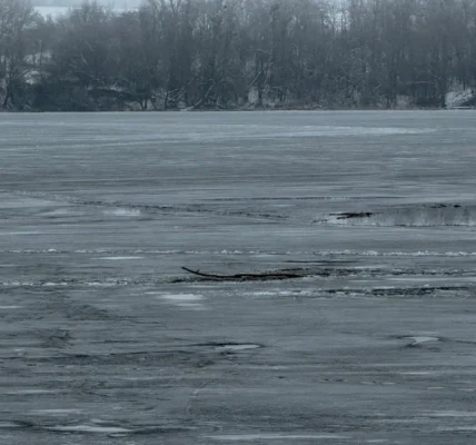 Пішов на риболовлю з сином і провалився під кригу: на Вінниччині загинув чоловік