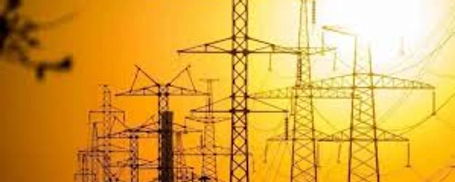 Україна встановила рекордний добовий імпорт електроенергії з початку року - Шмигаль