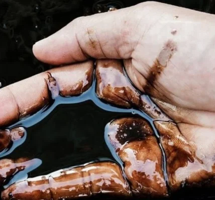 Ціни на нафту падають на тлі розрядки напруженості на Близькому Сході між США та Іраном