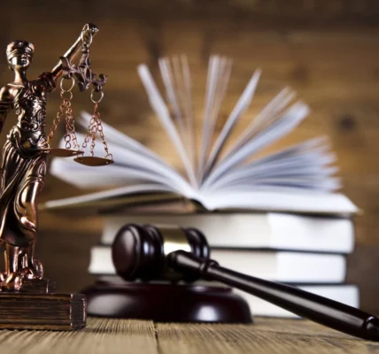 Незаконно виведені для родини Медведчука 24 га лісу повернули державі - прокуратура