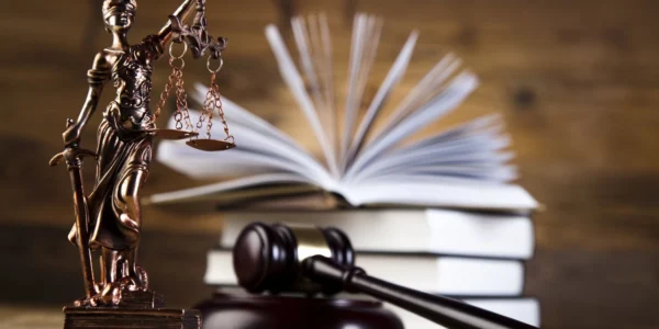 Незаконно виведені для родини Медведчука 24 га лісу повернули державі - прокуратура