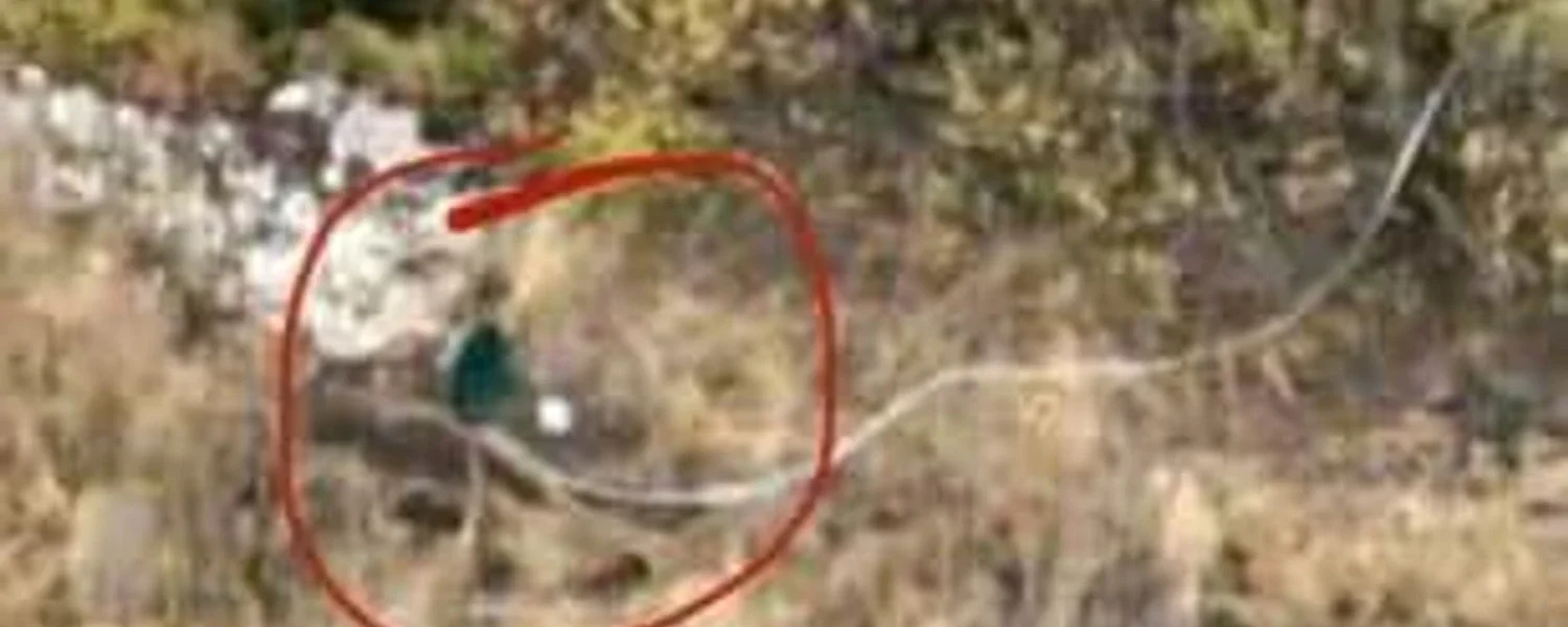 Окупанти терміново постачають на фронт супутниковий Інтернет для заміни Starlink -