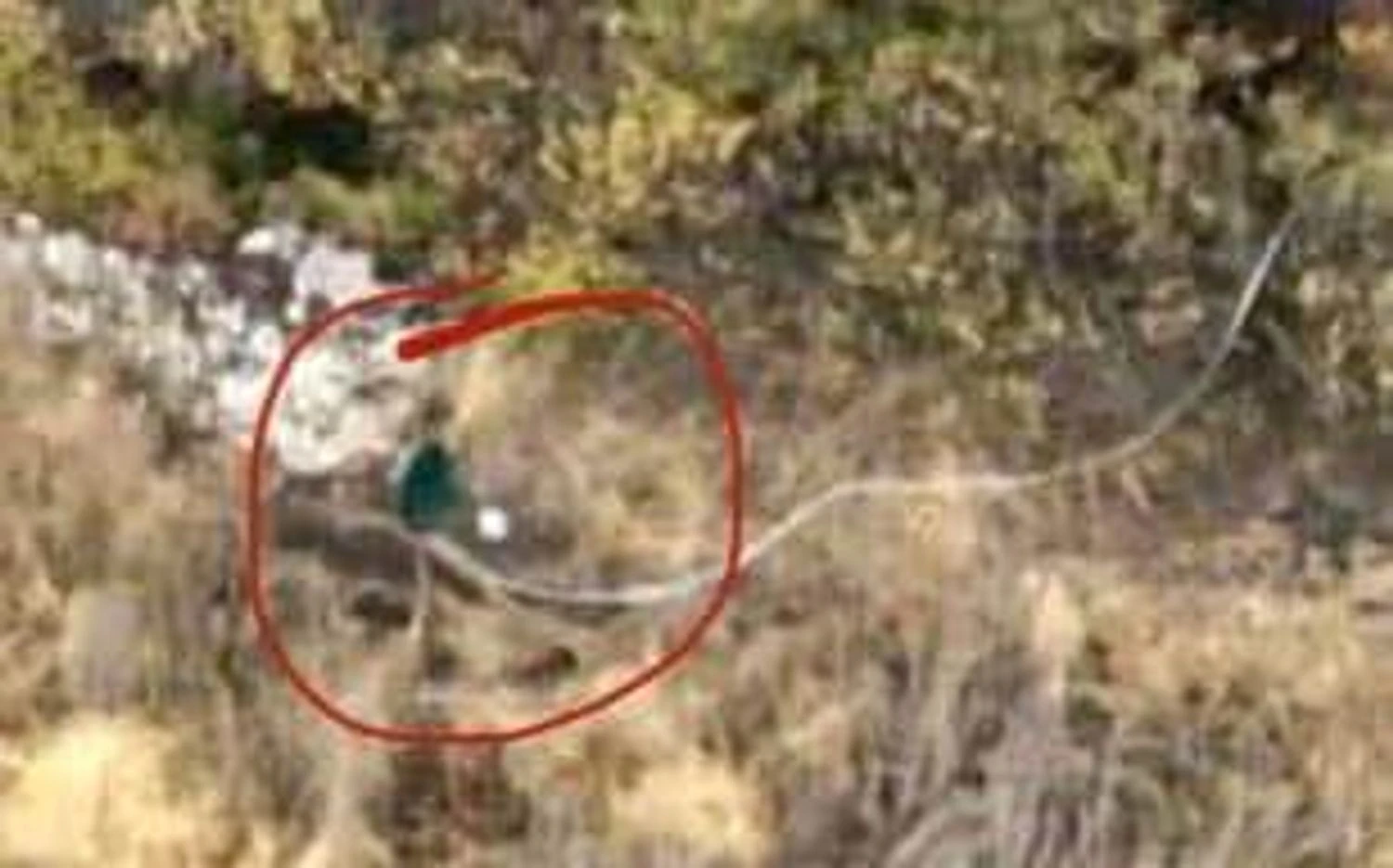 Окупанти терміново постачають на фронт супутниковий Інтернет для заміни Starlink -