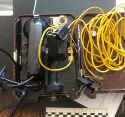 Українські Національні Новини (УНН)