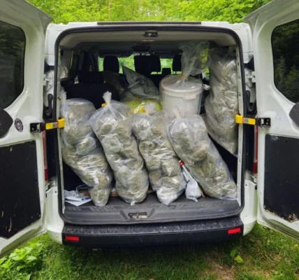 Наркоугруповання