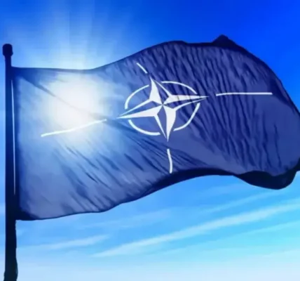 Українські Національні Новини (УНН)