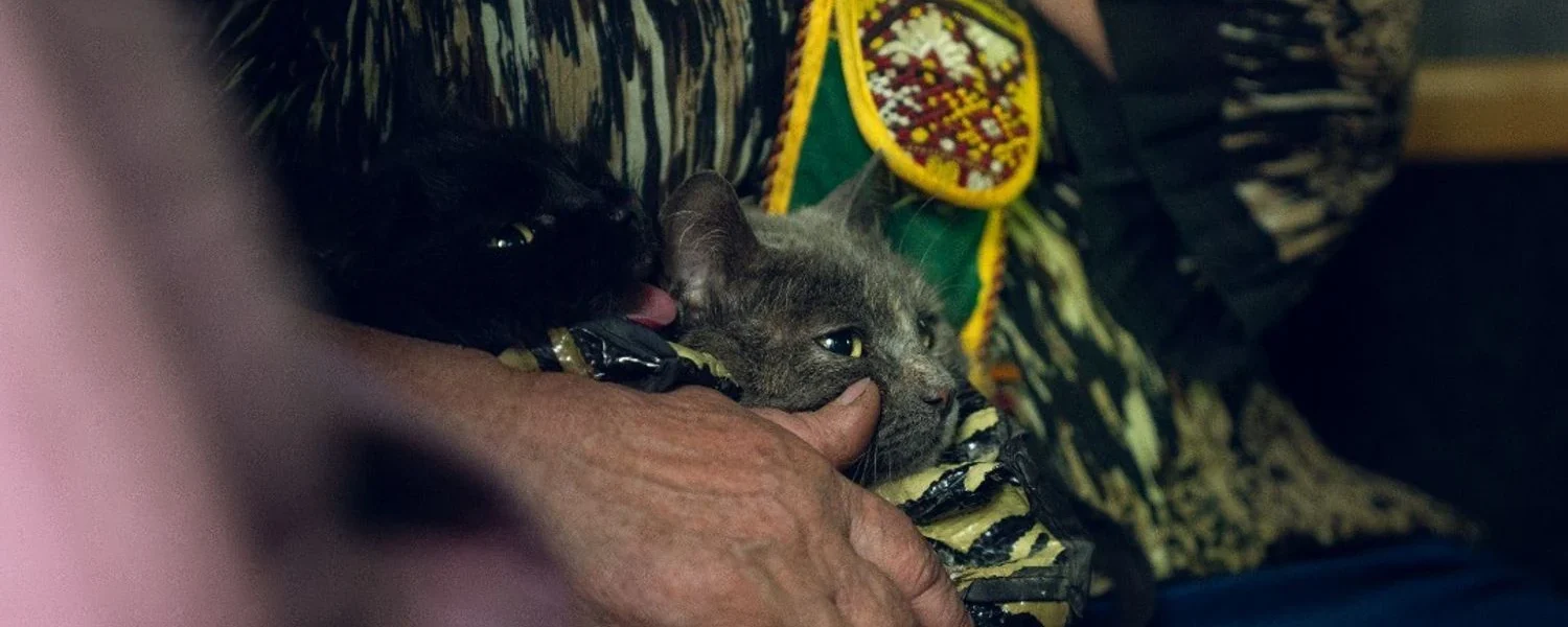 Понад 130 тис. українців евакуйовано за рік, житло потрібне 4,6 млн переселенців - віцепрем