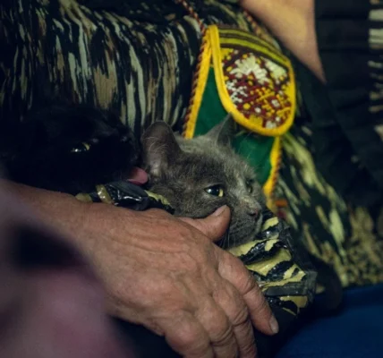 Понад 130 тис. українців евакуйовано за рік, житло потрібне 4,6 млн переселенців - віцепрем