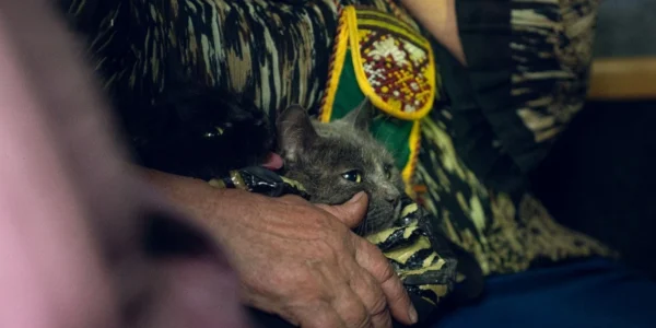 Понад 130 тис. українців евакуйовано за рік, житло потрібне 4,6 млн переселенців - віцепрем