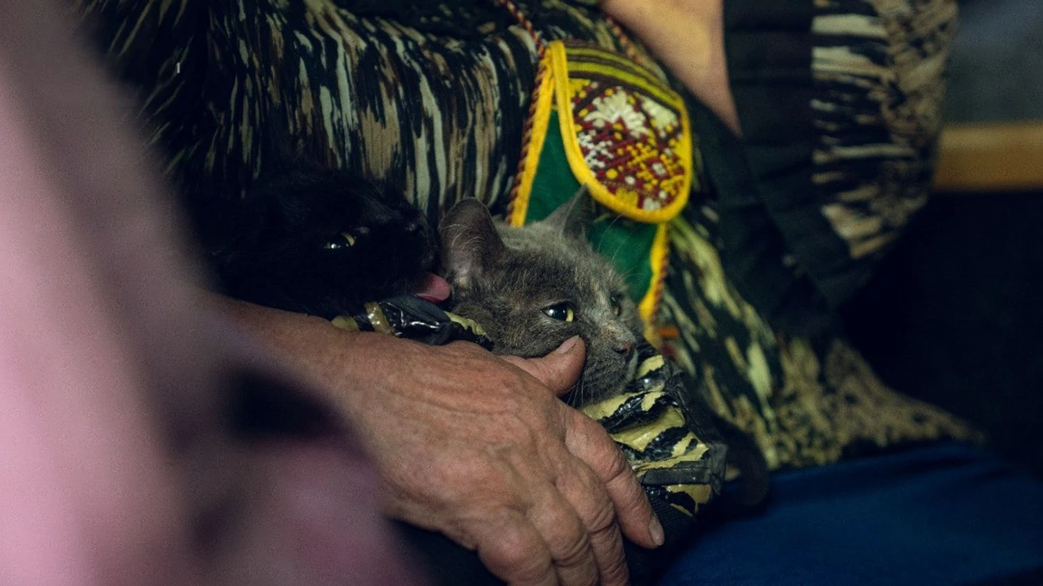 Понад 130 тис. українців евакуйовано за рік, житло потрібне 4,6 млн переселенців - віцепрем