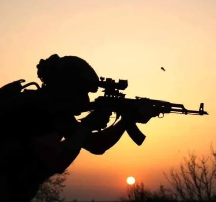 Українські Національні Новини (УНН)